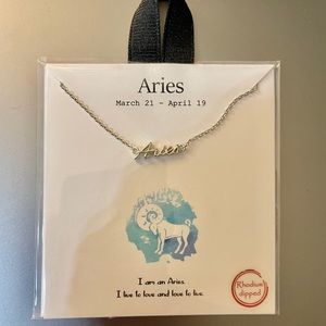 NWT Aries Rhodium Dipped Silver Necklace